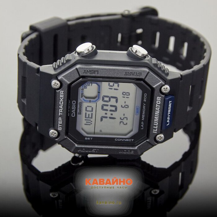 WS-B1000-1A (фото 2)