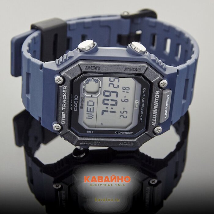 WS-B1000-2A (фото 2)