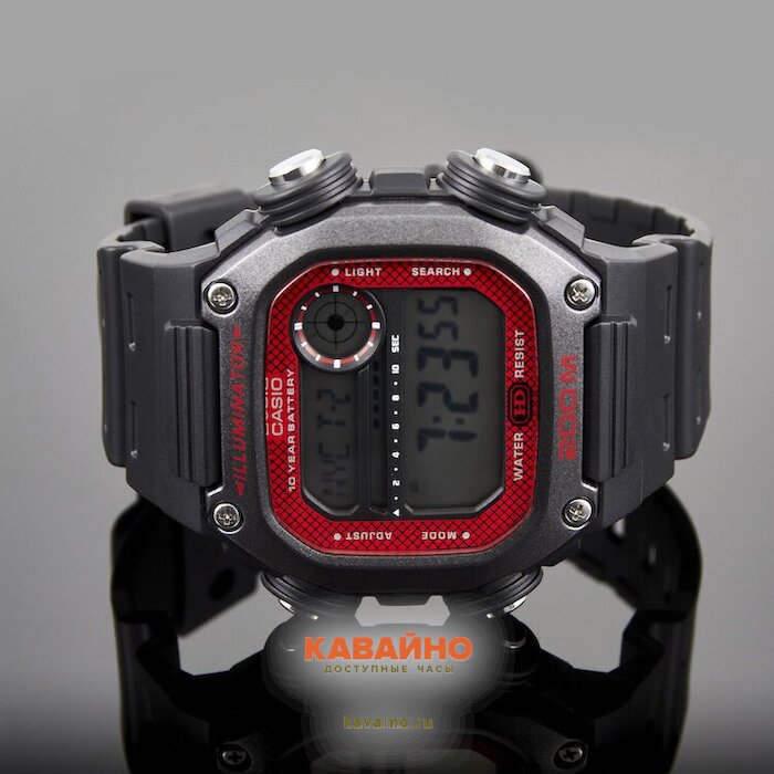 DW-291H-1B (фото 2)