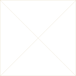 OMAX HYC039P007 (PNP)