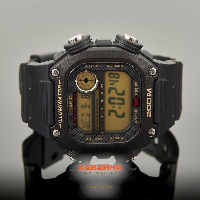 DW-291H-9A (фото 2)