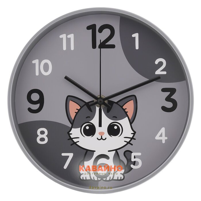 Рубин 2019-009 купить в часовом интернет-магазине