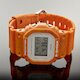 DW-5600WS-4 (фото 3)