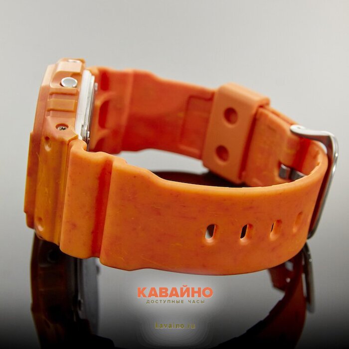 DW-5600WS-4 (фото 4)