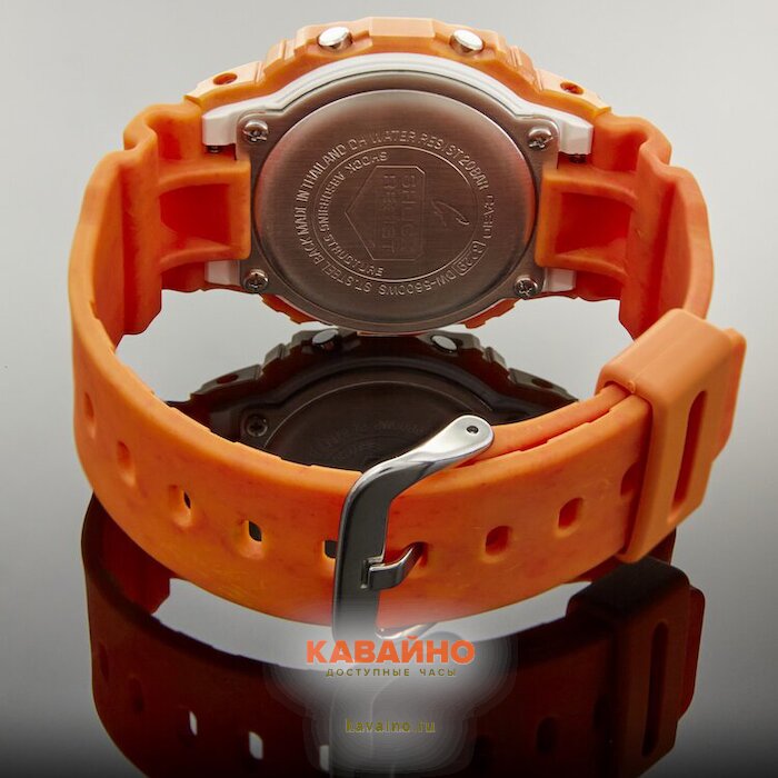 DW-5600WS-4 (фото 5)