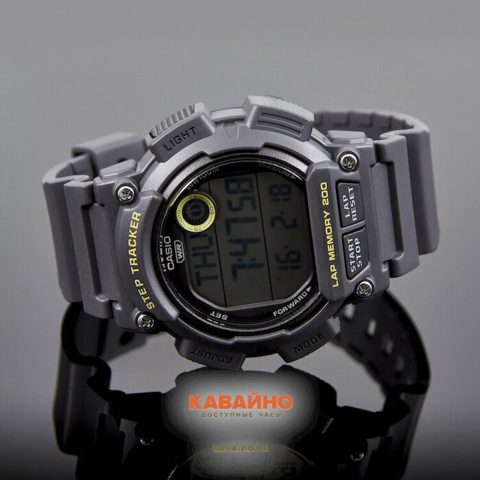 WS-2100H-8A (фото 2)