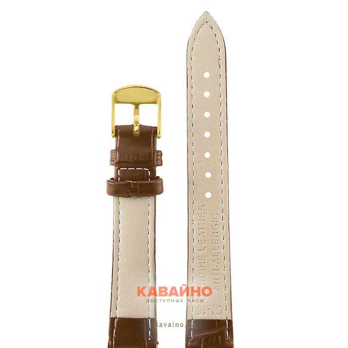 Atlantis C1-16IPGL т.коричневый (фото 2)