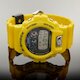 DW-6900TR-9 (фото 2)