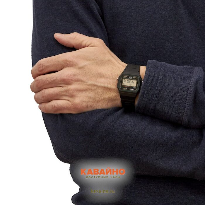 F-91W-3 (фото 5)