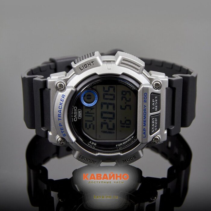 WS-2100H-1A2 (фото 2)