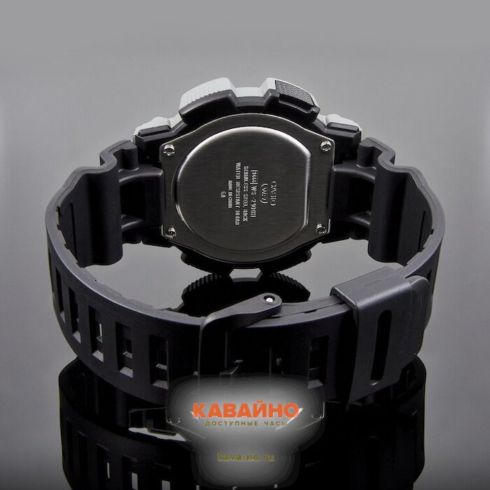 WS-2100H-1A2 (фото 4)