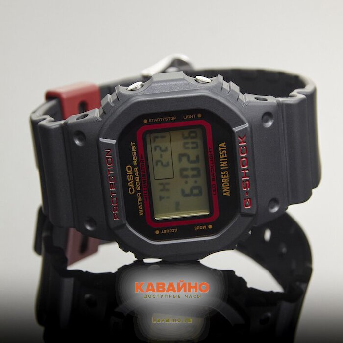 DW-5600AI-1 (фото 4)
