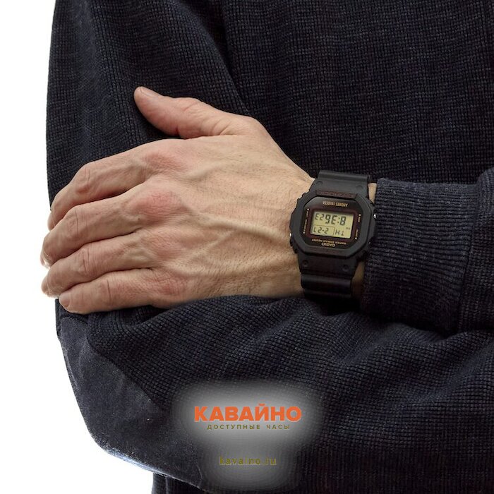 DW-5600AI-1 (фото 7)