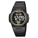 Skmei 2428BKGD black/gold (фото 1)