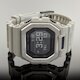 GBX-100-8 (фото 2)