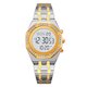 Skmei 2480TGD silver/gold (фото 1)