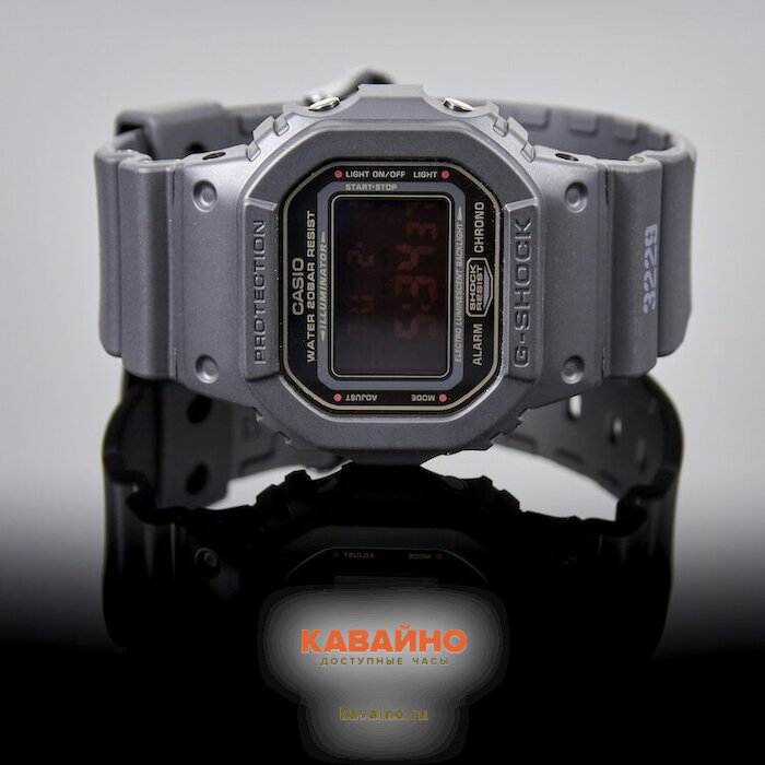 DW-5600MS-1 (фото 3)