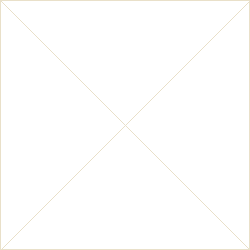 Skmei 9058LGDWTBN-B gold case brown band white