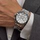 Ferrucci 3663-05 (фото 4)