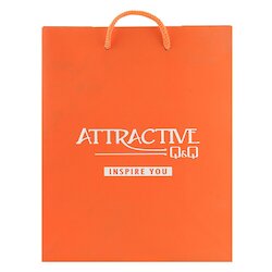 Пакет для часов Attractive Q&Q