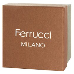 Коробочка для часов Ferrucci (кор)