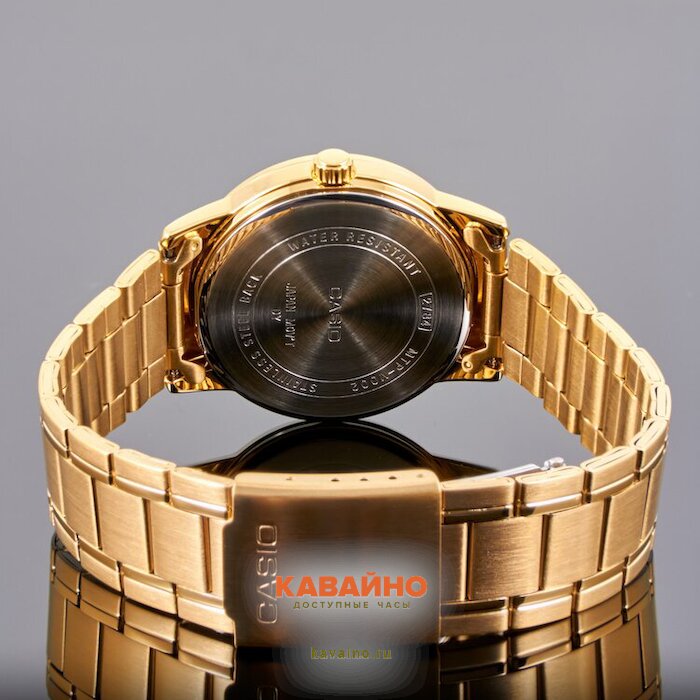 MTP-V002G-1B (фото 4)