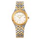 Skmei 2637TGDSI silver/gold/silver (фото 2)