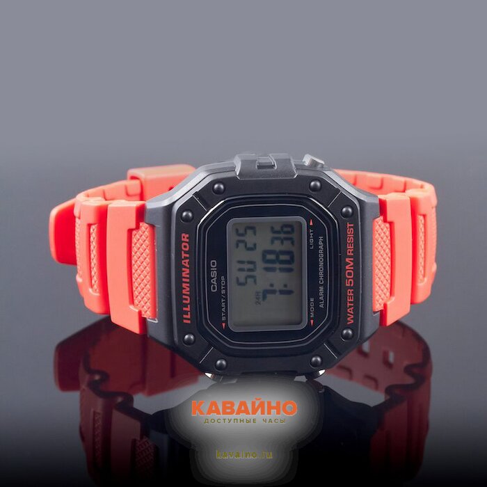 W-218H-4B (фото 2)