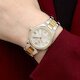 FERRUCCI 03480-04 (фото 6)