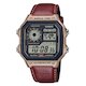 AE-1200WHL-5A (фото 1)