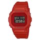 DW-5600RRB-4 (фото 1)
