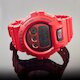 DW-6900RRB-4 (фото 3)
