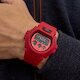 DW-6900RRB-4 (фото 5)