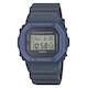 DW-5600RS-8 (фото 1)