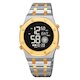 Skmei 2073TGDBK silver/gold-black (фото 1)