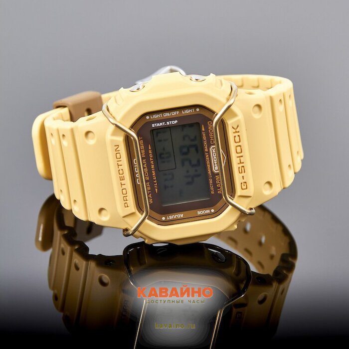 DW-5600PT-5 (фото 3)