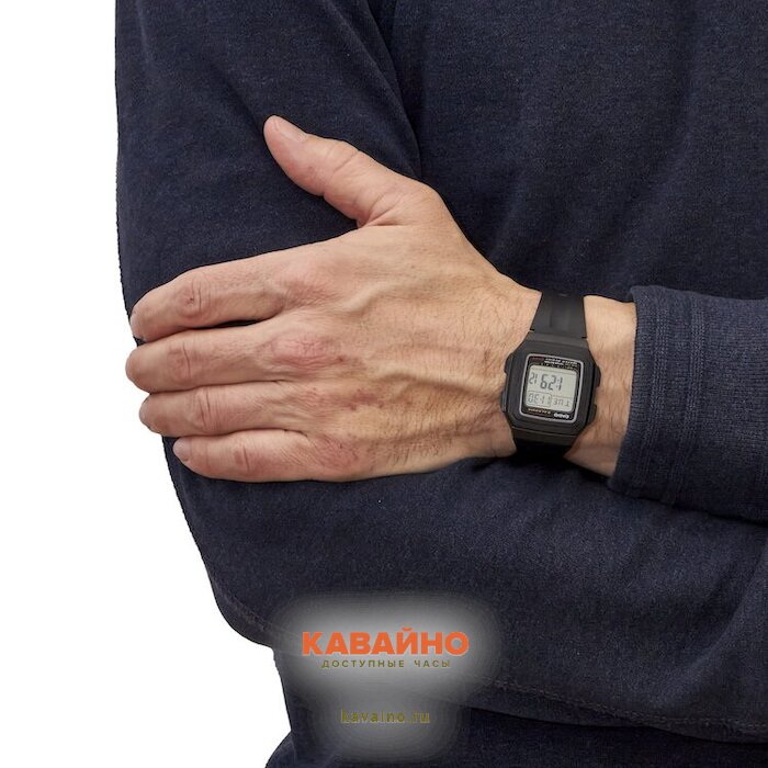 F-201WA-1A (фото 5)