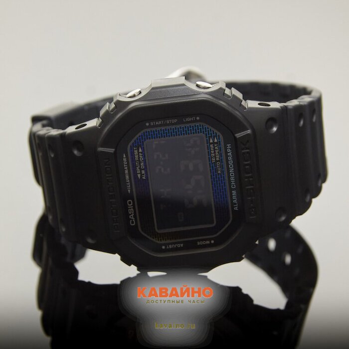 DW-5600RW-1 (фото 2)