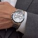 Ferrucci 3672-01 (фото 2)